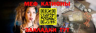 стаф Гай