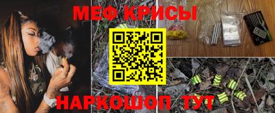 стаф Гай
