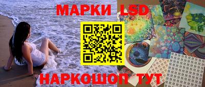 амф Гатчина
