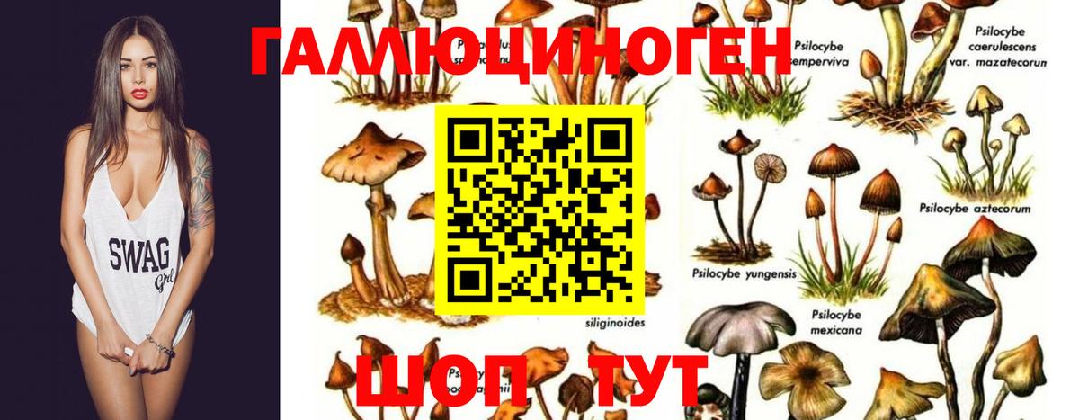 Новочебоксарск  Галлюциногенные грибы ЛСД  Вход с VPN 